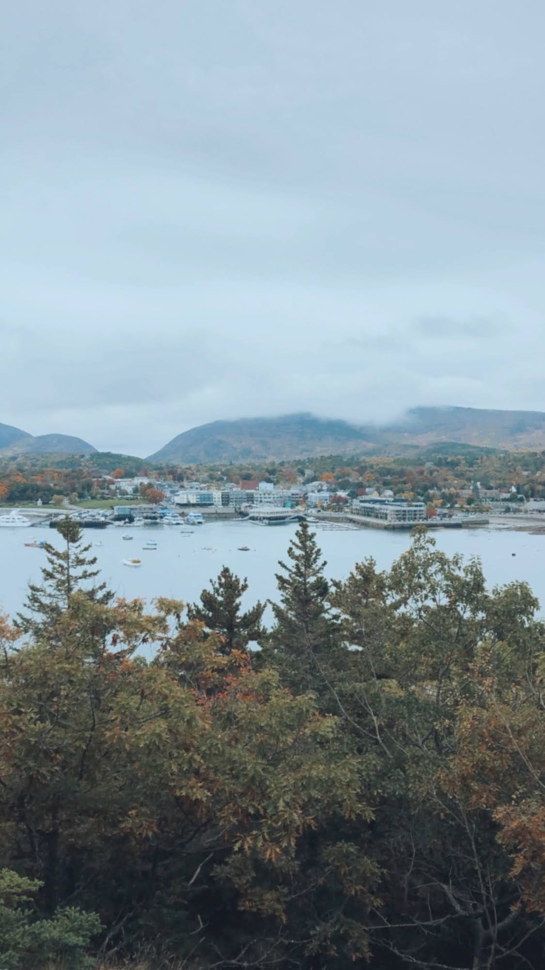 Fog & Foliage: A Long Weekend in Bar Harbor,&nbsp;Maine